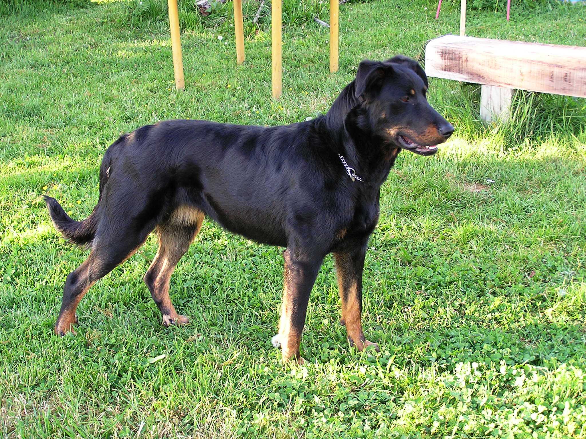 Aischa8